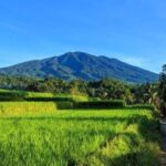 Berwisata ke Cisarua Sangat Mengasyikkan, Pesona Suasana Pedesaannya Masih Asri