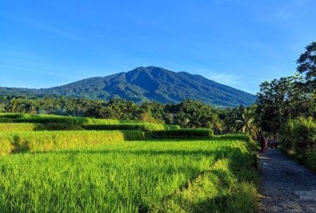 Berwisata ke Cisarua Sangat Mengasyikkan, Pesona Suasana Pedesaannya Masih Asri