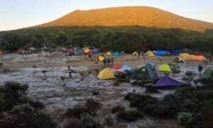 Benarkah Gunung Gede Pangrango Diselimuti Salju? Ini Penjelasannya