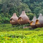 Wisata Hemat, Bahagia Maksimal: Surga Tersembunyi di Pinggir Bogor