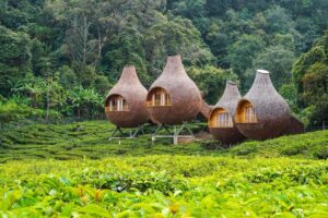 Wisata Hemat, Bahagia Maksimal: Surga Tersembunyi di Pinggir Bogor