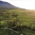 Liburan Tipis-tipis, Bahagia Setebal Ini di Bogor