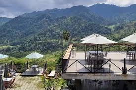 Murah, Estetik, dan Nyaman: Kafe Favorit Anak Muda Bogor